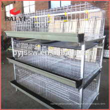 Broiler Chicken Cage for Sale with High Quality and Low Price